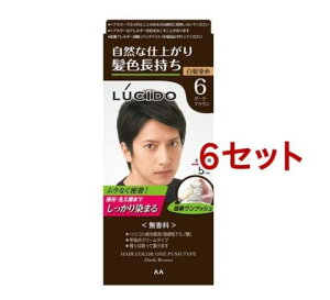 ���V�[�h �����v�b�V���P�A�J���[ 6 �_�[�N�u���E��(50g+50g*6�Z�b�g)�y���V�[�h(LUCIDO)�z
