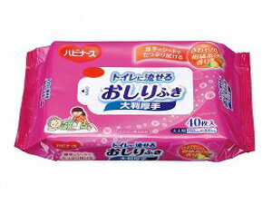 nri[XgCɗ邨ӂ唻40/P[X/- sW^q 669200ER