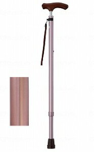 CtXebL XlbNLkx[VbN^Cvinj/CuE/Mtg{bNXdl EFt@ 009732