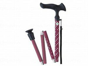 邪E@܏S/s/- tWz[ WB3794