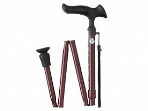 邪E@܏S/bh/- tWz[ WB3741