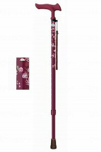 邪t@3 Lk/ԃC/- tWz[ WB5130yiz