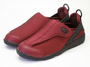 炳\tg100/C/23.0 AXeBR -