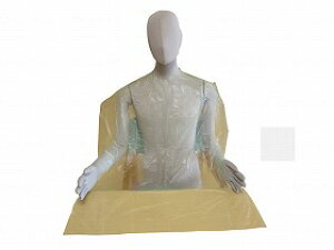 PEHpGv/zCg/ t@[XgCg FR-817