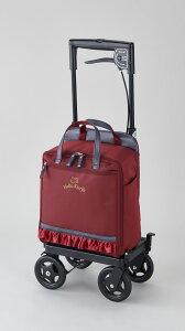 TChJ[gSAWEpin[LeBj EFt@ 010105 C