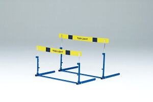 yzg[GCCg TOEI LIGHT X|[cEAEghA n[hNb`EVA1F G1178 wZp ̈ pi ^ @Nu iEEkCzsj