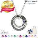 【楽天1位】選べる誕生石12色 ネックレス メンズ ネックレス シルバー LSP0096BSBK ネックレス リング ダイヤモンド 普段使い メンズ ネックレス 男性 誕生日 プレゼント ギフト 記念日 男性 彼氏 プレゼント 担当 彼氏 誕生日プレゼント 男性