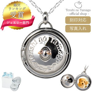 yΉzLO Vg̗ Pbgy_g 傫 lbNX fB[X Y Vo[ WEH 10   TEN8115RM Vv lC Mtg a  ޏ N