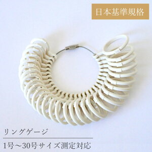 y[֑zOQ[W {WKi AM[Ή 130܂ OQ[W wփQ[W wTCY OTCY w TCY OTCY yAO  T