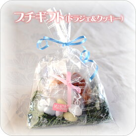 【洋菓子のヴィベール】 《プチギフト(ドラジェ&クッキー)》 [焼き菓子][ギフト]焼き菓子詰め合わせ お菓子 スイーツ 個包装 プレゼント