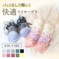 ブラジャー セット ブラ単品 ブラ 福袋 3枚 A B C D E F 送料無料 ワイヤー おまかせ カップ 大きいサイ…