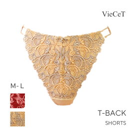 【LINE追加で300円クーポンGET】 【送料無料】Tバックショーツ　3color