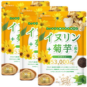 ytEǗh{mWďCz Ck e Tv 53000mg/ n H@ _ LNC  240 30 GMP Cke̘a