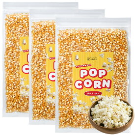 ポップコーン 豆 とうもろこし 種 コーン 電子レンジで手軽に バタフライタイプ 900g 業務用 お菓子 彩輪商店 送料無料