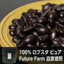 【自家焙煎コーヒー】ロブスタ ピュア 200g Future Farm シングルオリジン