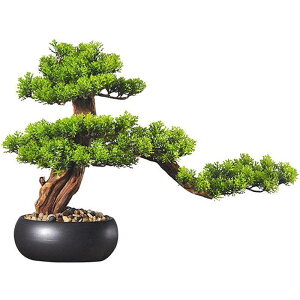 lH lH~͊}̖ V~[VA̐ȂIȖ~ 悤  lH~ ̕\̋U̖؂̉ ItBX X