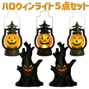 nEB  Cg 5 Zbg nEB[ ^  u CeA