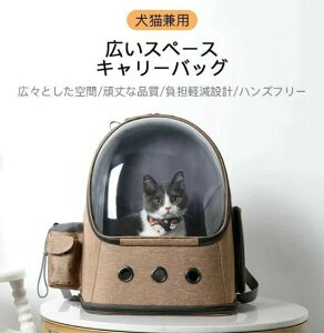 �L�L�����[ �L�����[�o�b�O �K�p�ΏہF10�L���ȓ��y�b�g �y�b�g�����b�N �y�b�g�L�����[ �L�����[�o�b�O ���L���p �L���X�y�[�X������