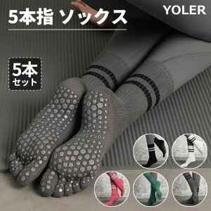 ���K�\�b�N�X 5�{�Z�b�g 5�{�w ����~�� ���f�B�[�X �s���e�B�X �C�� 5�F �t���[�T�C�Y �����O �����O��̃\�b�N�X �����p �o�R�p �ʋC