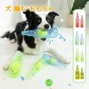  ނ   {[t  ̏o邨 ނ ɂ 􂦂 ŗV XgX {g  f