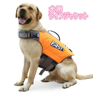 CtWPbg ybg p CtWPbg  ^ ~ ^ CtWPbg ybgp Ct WPbg p