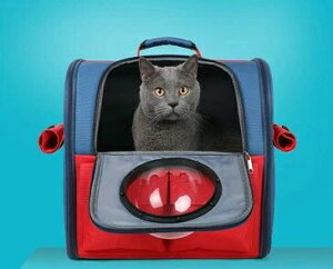 ybgL[ ybg bN ybgL[obO L obO  Lp p  y  ybgpi e Jo[ ܂肽 