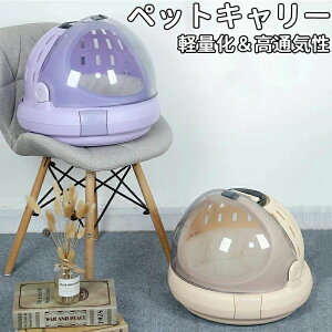 ybgL[  L L[P[X GAgxL[ Rei ybgpʋC y p Lp o s ʉ@ gѕ 