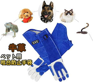 ybg v ybgph~ ybgO[u Z[teی rS̕ی 戵 ی a L  wr