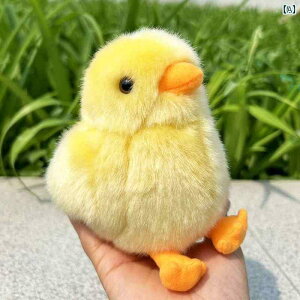  ʂ 킢 킢 V~[V `L l` ʂ  TEh _bN q Mtg