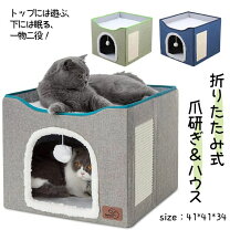 楽天市場】キャット プレイハウス（ペット・ペットグッズ）の通販