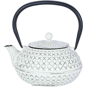 鉄瓶 急須 南部鉄器 鉄やかん 鋳鉄 ティーポット 茶こし付き 紅茶 ポット 手作り 耐熱急須 白いやかん 鉄分補給 ih対応 直火可 やかん