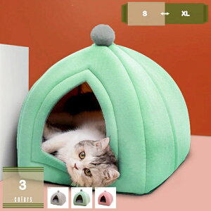 킢̈ˌāAeg^xbh NŔ畆?тۂ܂egxbh STCY NbV }bg nEX eg h[