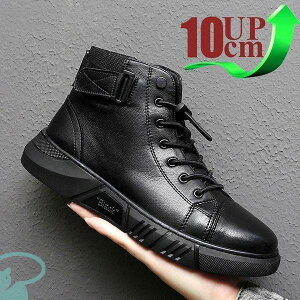  gAbv10cm up10cm wȂ Y Xj[J[  Cq[ K JWAV[Y