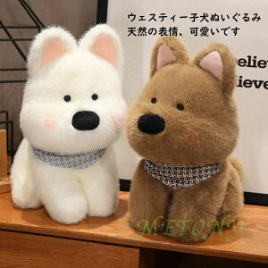 hbO ʂ  q EFXeB[ EFXeB}`[Y  q ʂ l` q ̎q j̎q  Mtg Ce