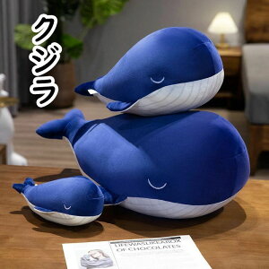 25/45/65/85 q  ViKXNW Mtg  YQ ޏ yzNW  j  _炩