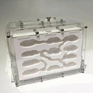 [yVLO2ʊlI] A P[X Ȃ  a ώ@ Lbg ΍p AN aGA LTCY R w 