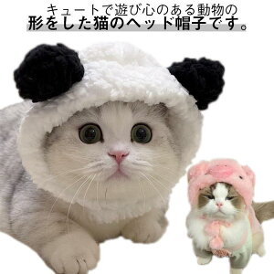 蕨 Xq Lp Ft LN^[ ybgXq   EȒP a nEB NX}X 