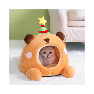 Lxbh LnEX ~p 킢 G K 炩 ێ [֗ 萫 ~ CeA  qL qp H11