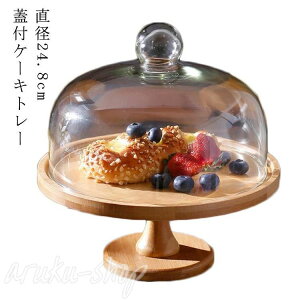 a24.8cm KX EbhP[LX^h ؐP[LX^h 11cm W ؐ ɎqW P[Lg[ fBXvC a24.8cm t