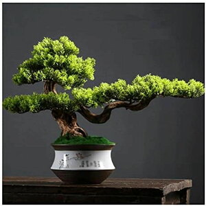 �l�H�ϗt�A�� �l�H�~�͂̏��̖؂̋U���H��̕����̑����̂��߂̐Q���̔��I�y�щƂ̔_�Ƃ̔_�Ƃ̑����A����13�C���`