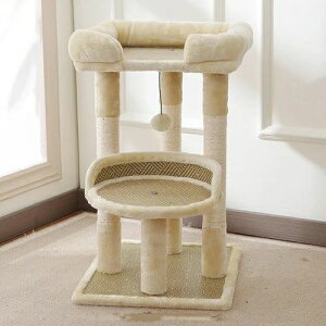 Lbg^[ ~j L^[ ^ LnEX ȃXy[X R܂Ƃ|[ W] 40*50*68 Ⴂ u Lc[ Lxbh x[W