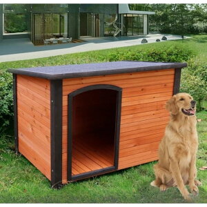 ���O�������~�g������^���������l�G���ՓI�ȉ��O�h�J�y�b�g������ �ؐ�������