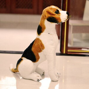 �ʂ�����݁@���ʁ@�C�k�@ ���@���A���@��������@�C���e���A�G�݁@�������@���j���@�v���[���g