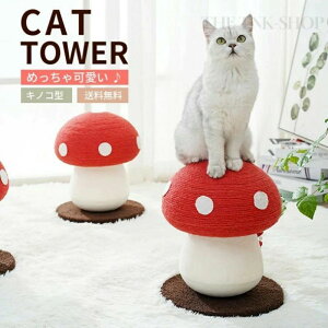 �L�m�R ���^ �܂Ƃ��|�[�� �L���b�g�X�N���b�`�|�[�� �܌��� �L �˂� �L�^���[ �L���b�g�c���[ �~�j �x�� ���� ���^ ��������