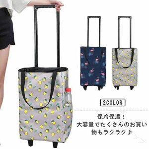 2�փL���X�^�[�o�b�O �g�[�g�o�b�O �܂��ݎ� �������J�[�g �y�� �ۗ�ۉ��@�\�t�� �V���b�s���O�o�b�O 2way�L�����[ ��e�� �ω׏d20kg ��v�Ōy�� �h�V�̓��M�t�g�ɍœK