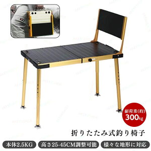 釣り台」の人気商品一覧 | 安い商品を通販サイトから探す - 価格.com
