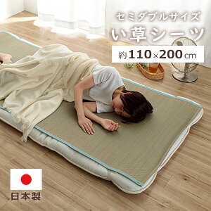 ő700~OFFN[|y撅pz{  V[c ₵ 110×200cm Z~_u ~pbh Q z  L Q}bg  ɂ  RpNg Jo[ CPqR ikehiko 110