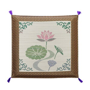 �G���g���[�Ń|�C���g5�{ �����Y �ܐD ������O ���O ���z�c �@�̉� ��70×70cm �N�b�V���� ���z�c ��O���z�c ���� �C�P�q�R 1131860013502 �������� +25