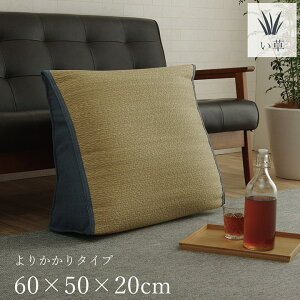 ő100%|CgobNI  낮 Q 肩 NbV 炳 L Vv 60×50×20cm NbV zc 났n  CPqR 1121760042901  +25