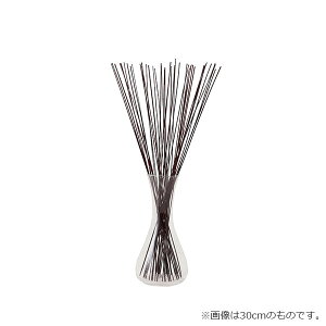 ő1000~OFFN[|&100%|CgobN tOX a_ CeA   XeBbN fBt[U[ IuWF L  gC rO ֏ 70cm u CPqR ikehiko